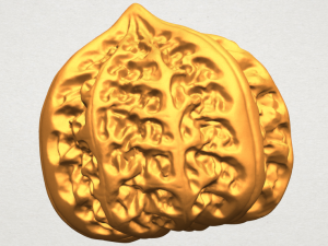 walnut Modelo de impresión 3D