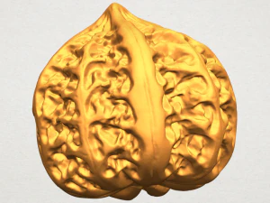walnut 3D Print Model