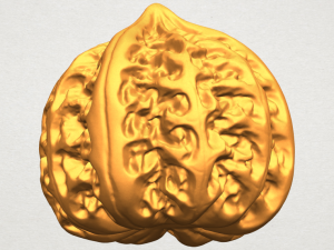 walnut Modelo de impresión 3D