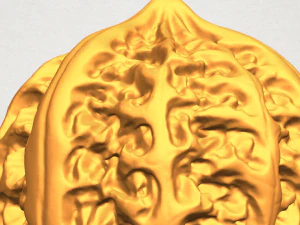 walnut 3D Print Model
