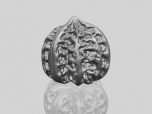 walnut Modelo de impresión 3D