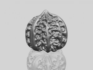 walnut 3D Print Model