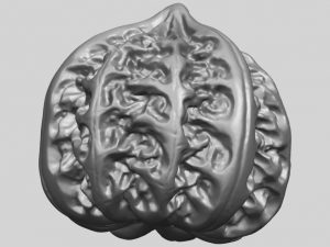 walnut Modelo de impresión 3D