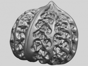 walnut Modelo de impresión 3D