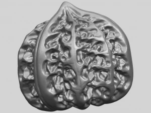 walnut 3D Print Model