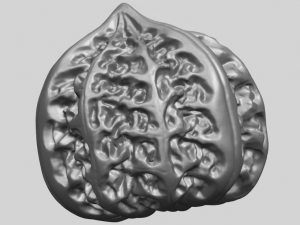 walnut Modelo de impresión 3D