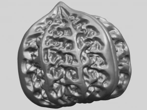walnut 3D Print Model