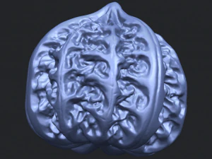walnut 3D Print Model