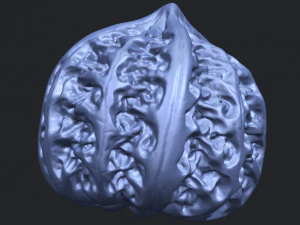 walnut 3D Print Model