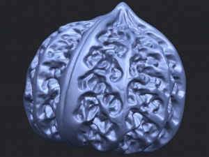 walnut Modelo de impresión 3D