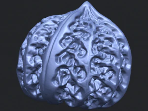 walnut 3D Print Model