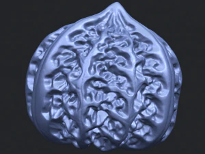 walnut 3D Print Model