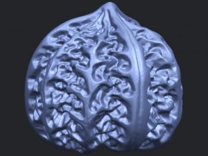 walnut Modelo de impresión 3D