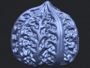 walnut 3D Print Model