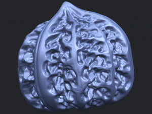 walnut Modelo de impresión 3D