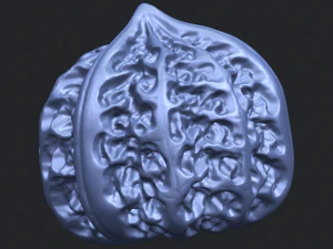 walnut 3D Print Model