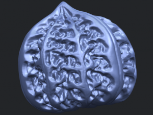 walnut Modelo de impresión 3D