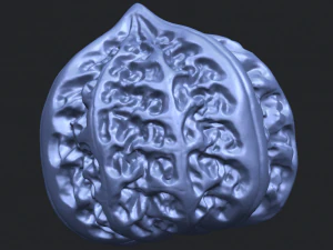 walnut 3D Print Model