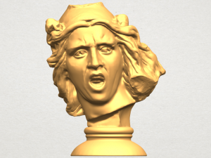 bust of shock 3D Print Model