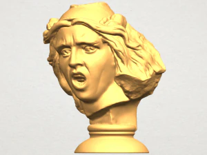 bust of shock 3D Print Model