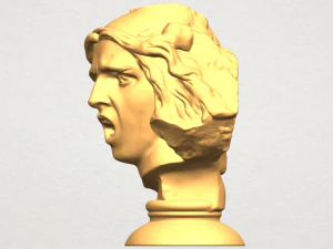 bust of shock 3D Print Model