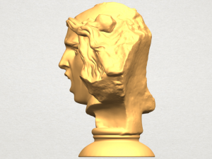 bust of shock Model Cetak 3D