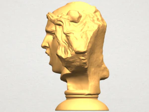bust of shock 3D Print Model