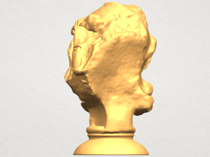 bust of shock Model Cetak 3D