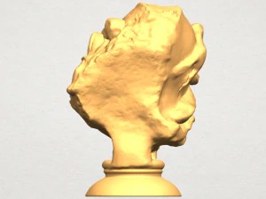 bust of shock 3D Print Model