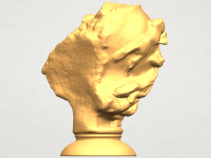 bust of shock 3D Print Model