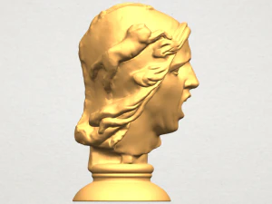 bust of shock 3D Print Model