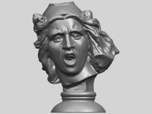 bust of shock 3D Print Model