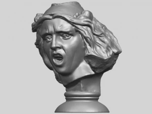 bust of shock 3D Print Model