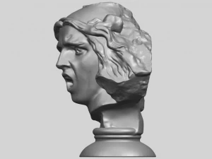 bust of shock 3D Print Model