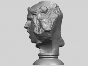 bust of shock Model Cetak 3D
