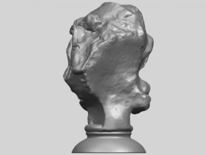 bust of shock 3D Print Model