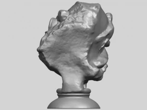 bust of shock 3D Print Model