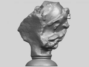 bust of shock 3D Print Model