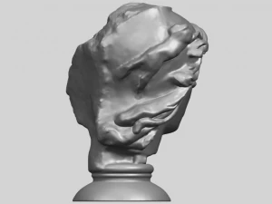 bust of shock 3D Print Model