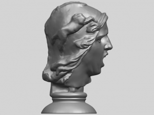 bust of shock Model Cetak 3D