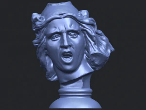 bust of shock 3D Print Model