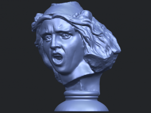 bust of shock Model Cetak 3D