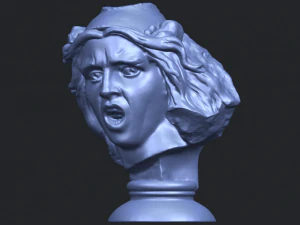 bust of shock 3D Print Model