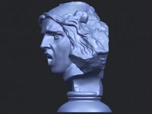 bust of shock 3D Print Model