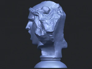bust of shock 3D Print Model