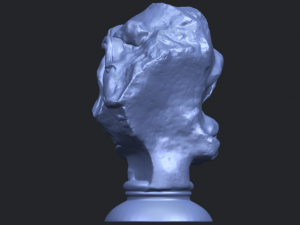 bust of shock Model Cetak 3D