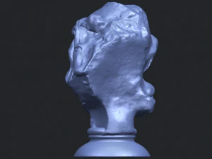 bust of shock 3D Print Model