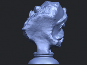bust of shock Model Cetak 3D