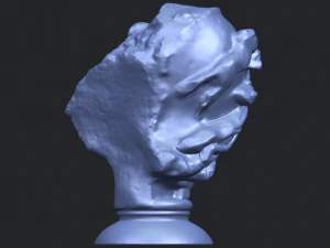 bust of shock 3D Print Model
