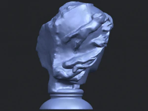 bust of shock 3D Print Model